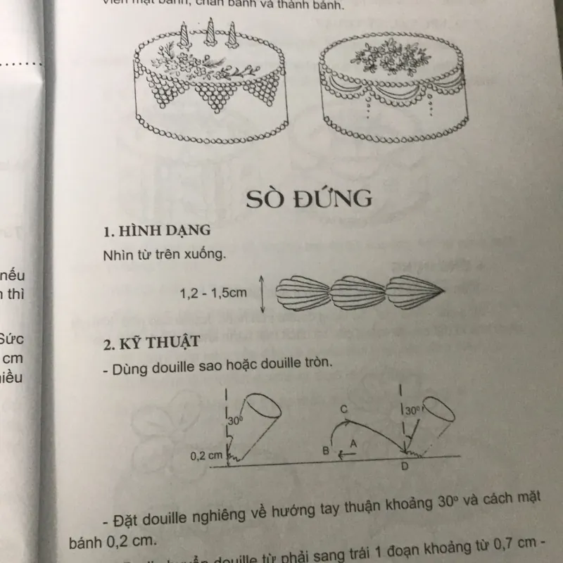 Sách dạy sử dụng đuôi bắt kem và trang trí bánh 971703
