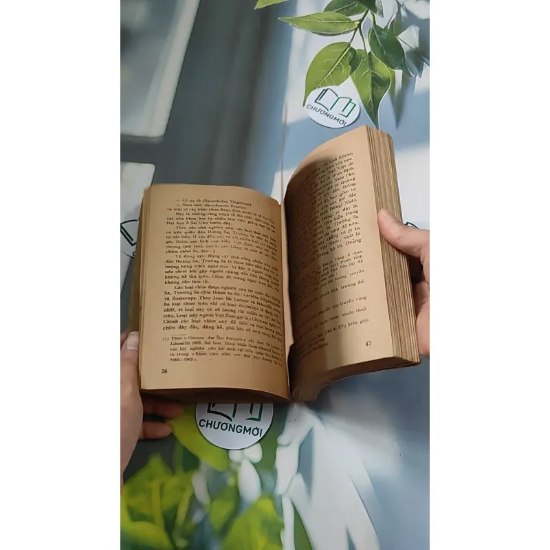 [MIỄN PHÍ BỌC SÁCH] [XƯA] Hoàng Sa - Trường Sa (1988) - Nguyễn Q. Thắng 776068