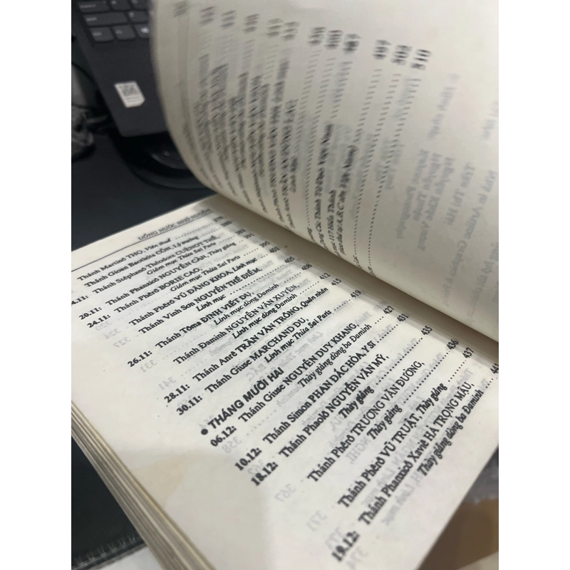 Thiên Hùng Sử - 117 Hiển thánh tử đạo Việt Nam 499203