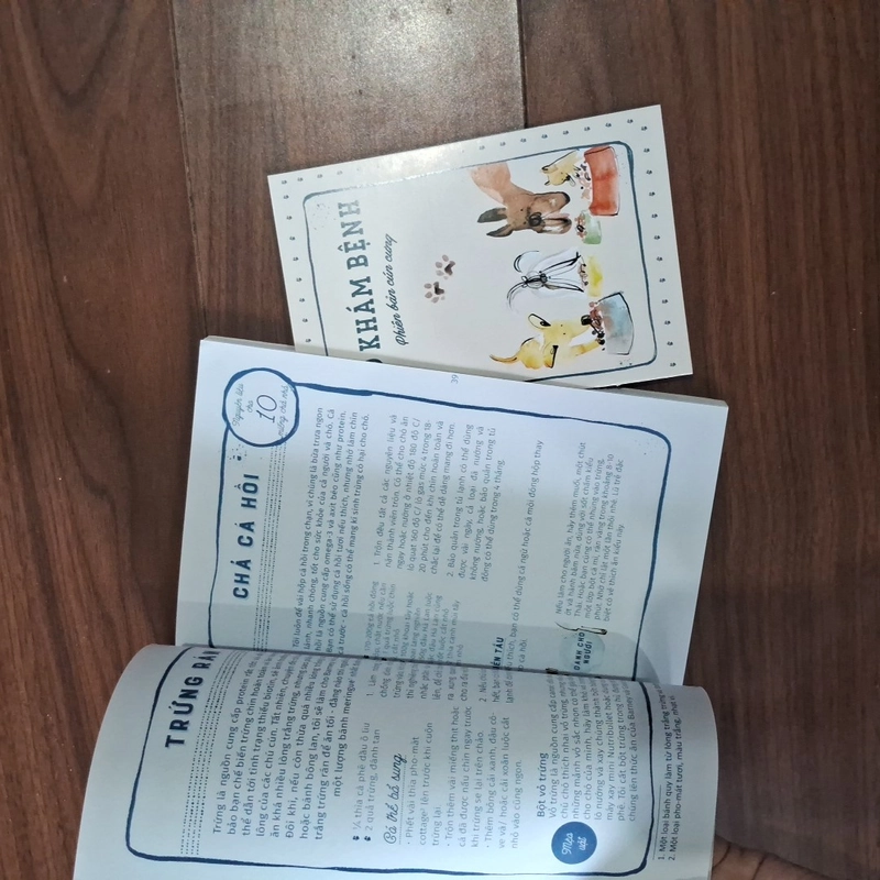 Hôm nay ăn gì (phiên bản thú cưng) 552873