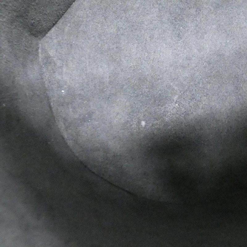 Túi Louis Vuitton Monogram Reverse Cannes M43986 614569