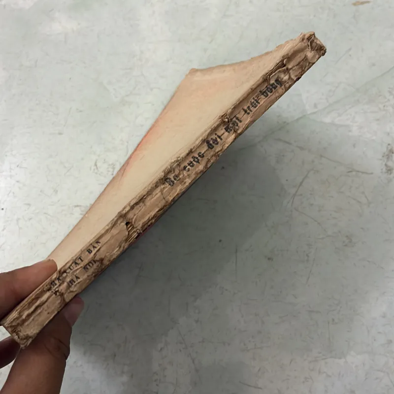 Ba cuộc đời một trái bóng - Anh Ngọc 998230