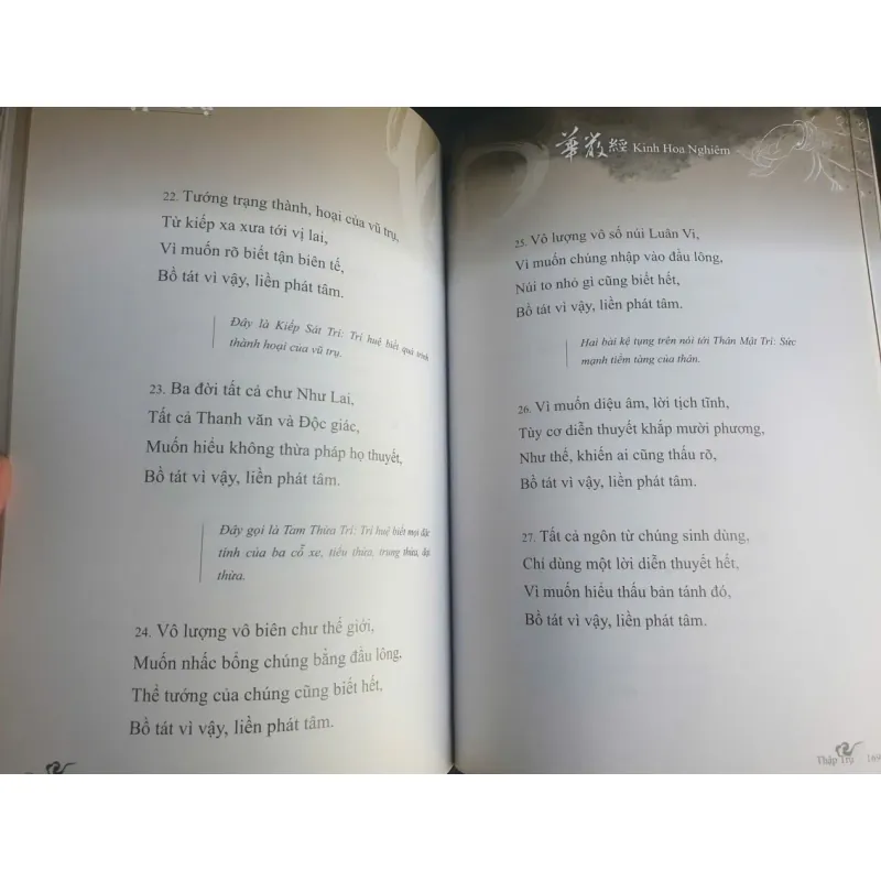 Kinh Hoa Nghiêm Phẩm Thập Trụ - Chính Văn và Lược Giải - Thầy Hằng Trường mới 90% 698198