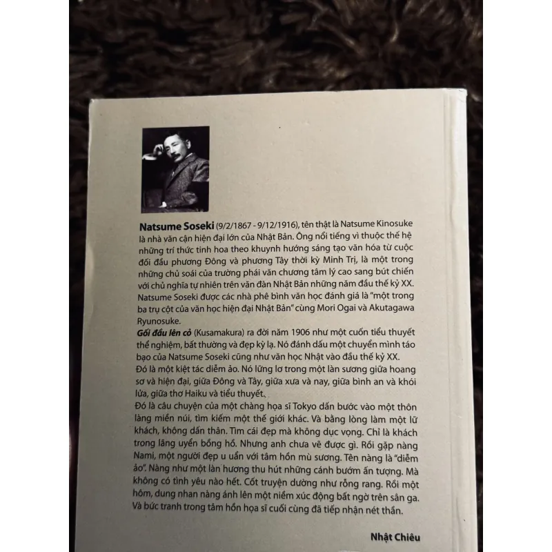 Combo Nỗi Lòng + Gối đầu lên cỏ 1020763