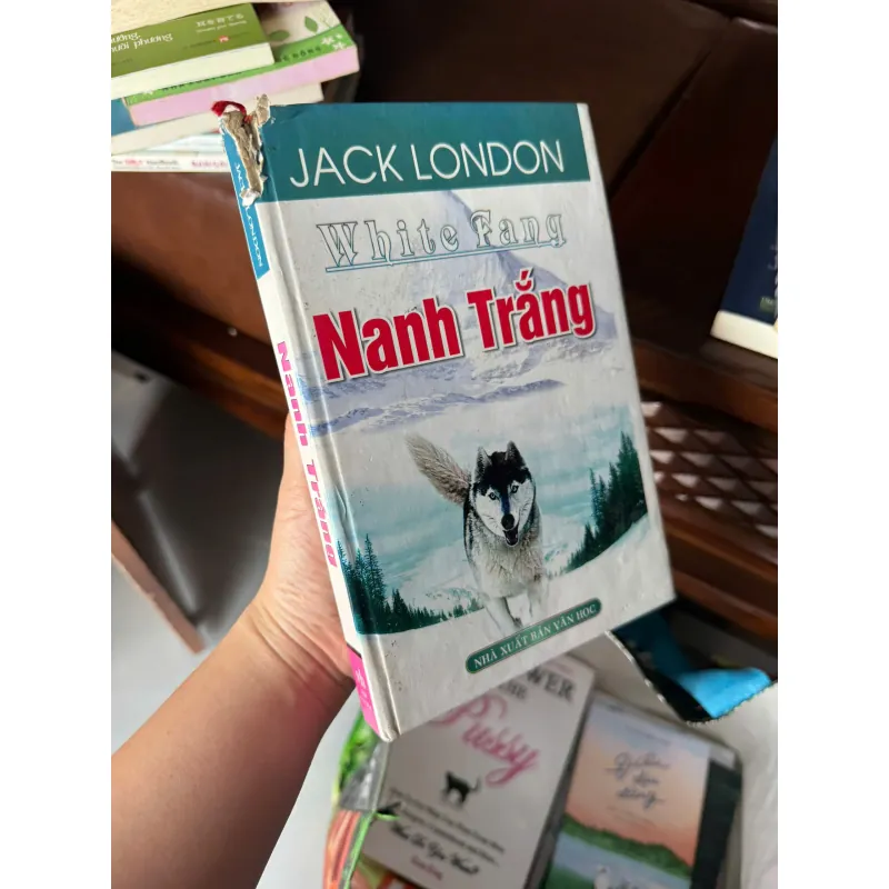 NANH TRẮNG (WHITE FANG) – JACK LONDON | TIỂU THUYẾT KINH ĐIỂN VỀ LOÀI SÓI & SINH TỒN - K3 1010960