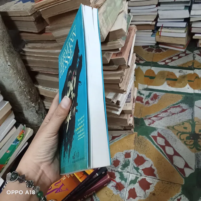 Sói Thảo Nguyên- Hermann Hesse  607224