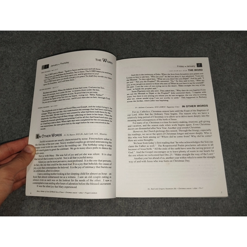 THE WORD IN OTHER WORDS - BIBLE DIARY 2015 517733