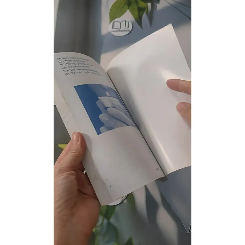 Những Đóa Hoa La San - Nhật Nhật Tân 928514