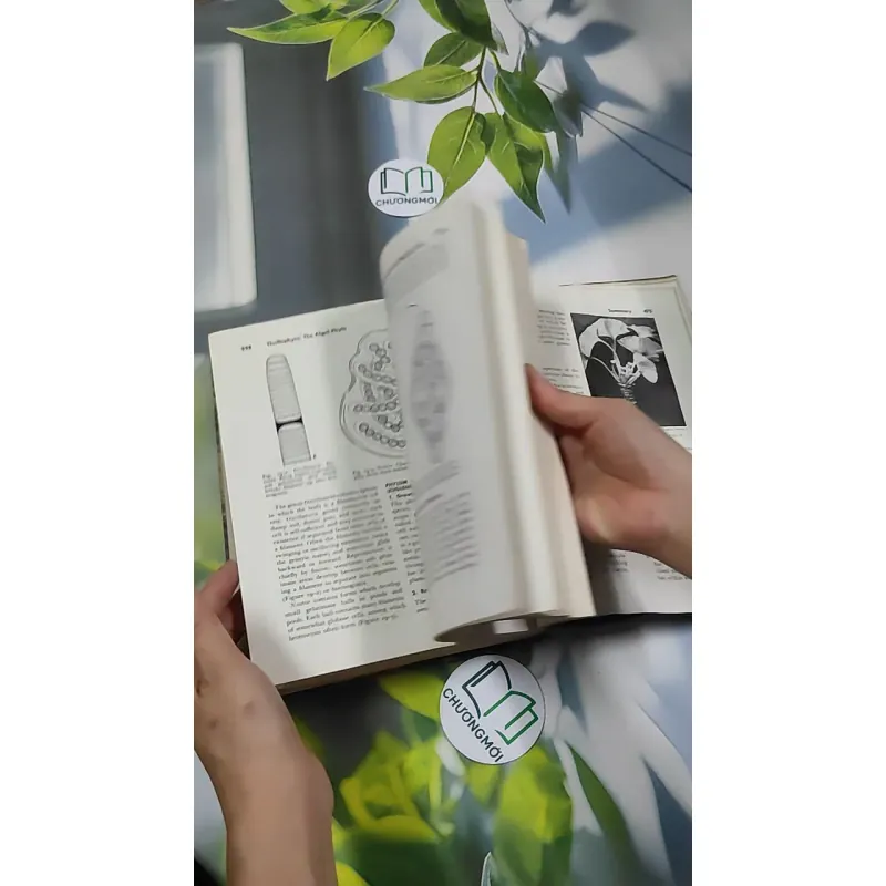 [MIỄN PHÍ BỌC SÁCH] The Plant World - Harry J. Fuller 750801