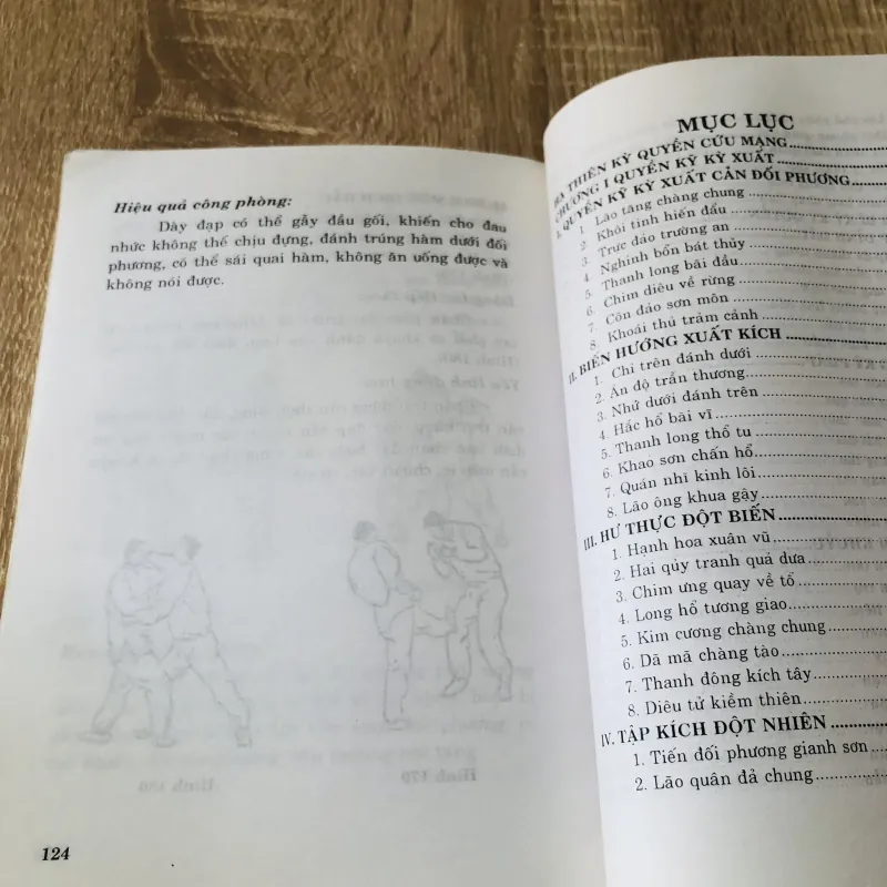 TINH HOA THIẾU LÂM KỲ QUYỀN BÍ CHIÊU 1010968