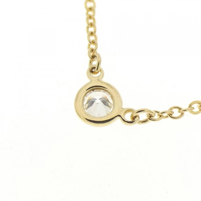 Dây chuyền Tiffany By The Yard - Hàng hiệu Authentic 840504