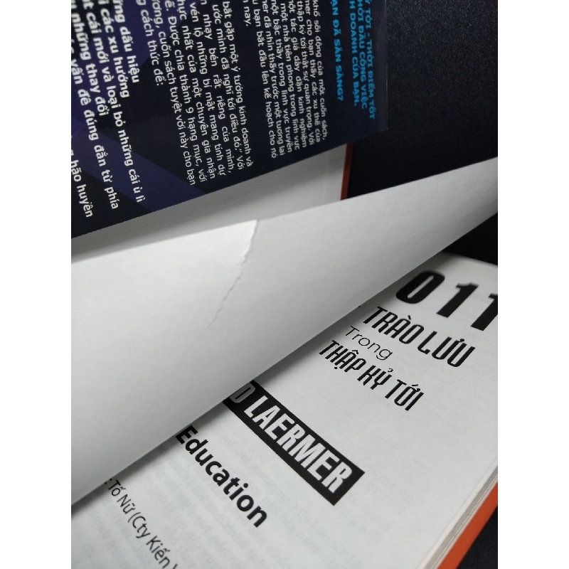 2011 trào lưu trong thập kỷ tới (bìa cứng) mới 80% ố có viết nhẹ vào sách rách trang đầu 2009 HCM1001 Richard Laermer KỸ NĂNG 918566