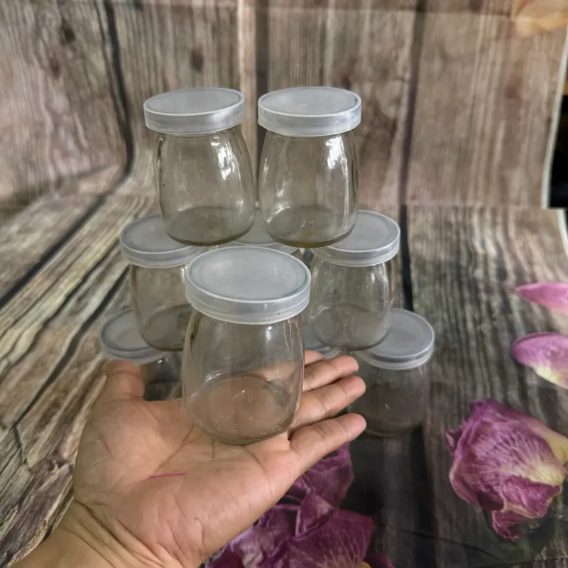 Hủ làm sữa chua 560563