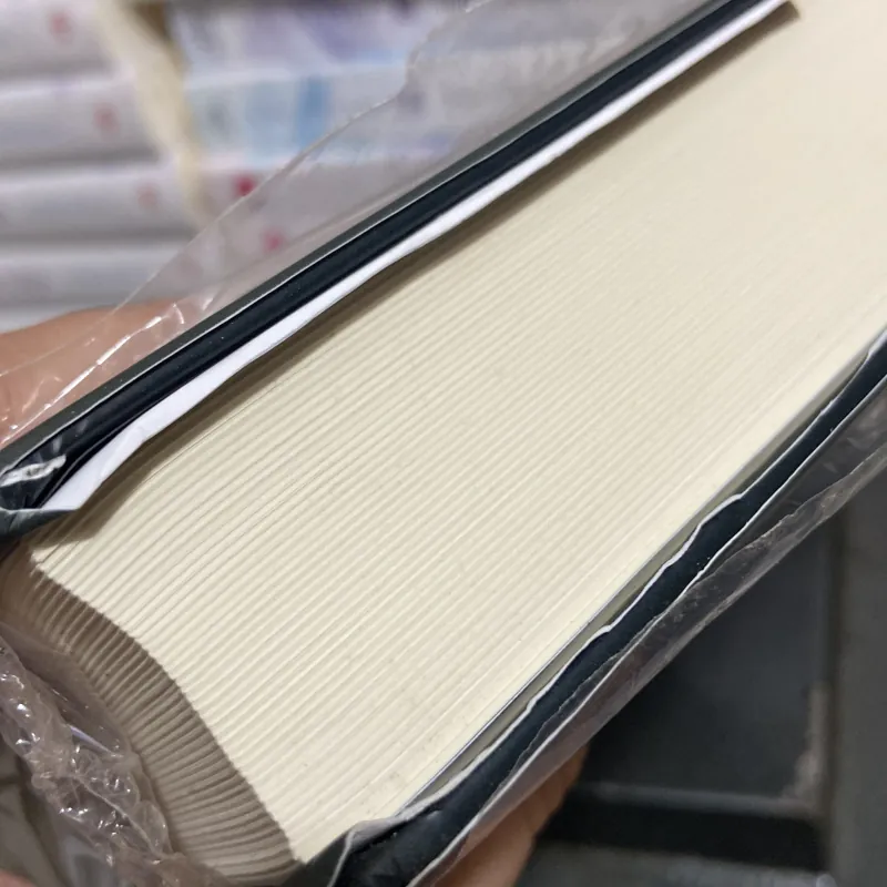 (Văn học kinh điển) - Nhà thờ đức bà Paris - Victor Hugo 1005083