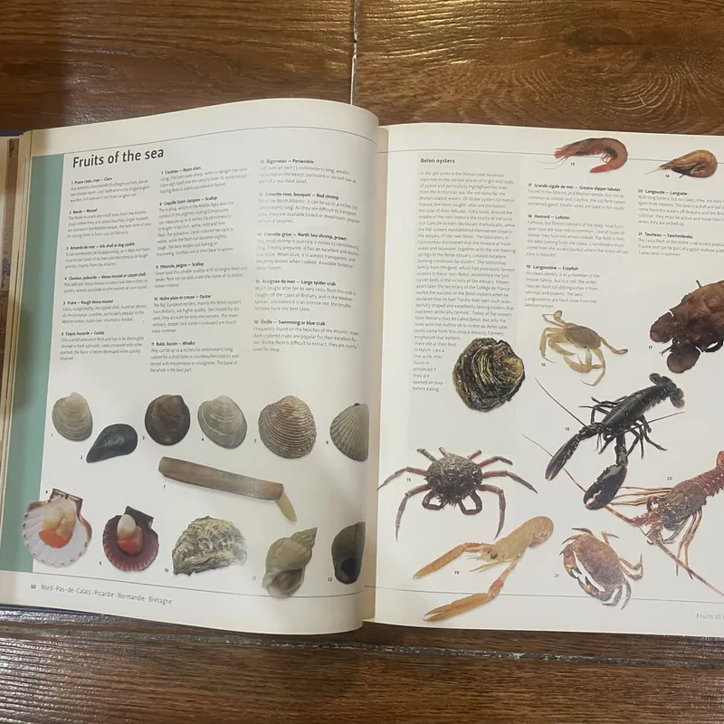 Culinaria France: A Celebration of Food and Tradition 727193