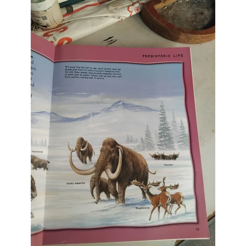 1000 + animal facts 969842