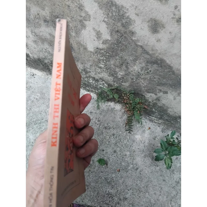 Kinh thi Việt Nam  1025126