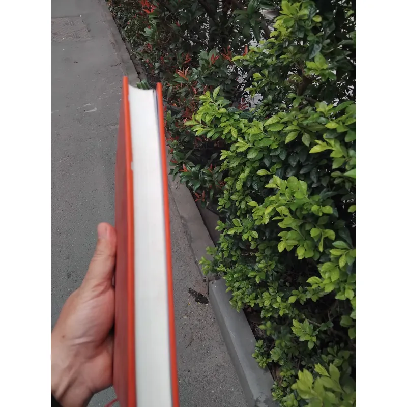 Rabbit ơi chạy đi của John Updike 936583