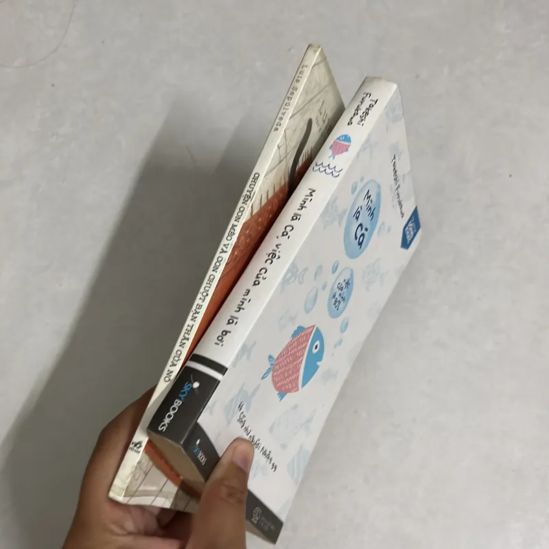 Combo Cá và con mèo 578019