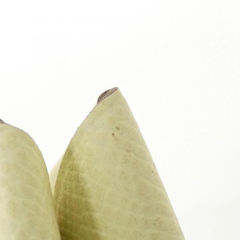 HERMES Calvi 044164CK Ví thẻ - Hàng hiệu Chính hãng 769559