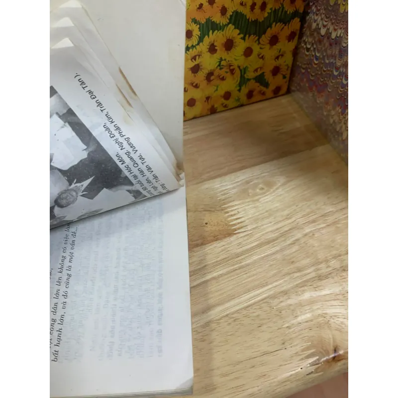 Chân Dung Người Hoa Ở Tp. Hồ Chí Minh - Lý Lan 927522