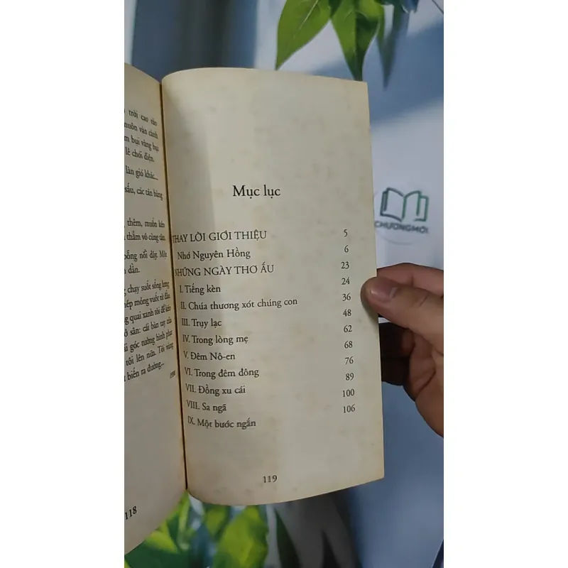 Những ngày thơ ấu - Nguyên Hồng 798507