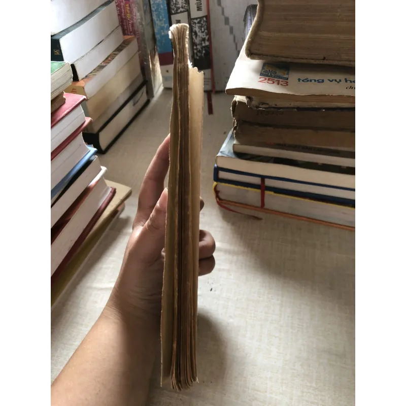 Từ góc sân nhà em-Trần Đăng Khoa 975874