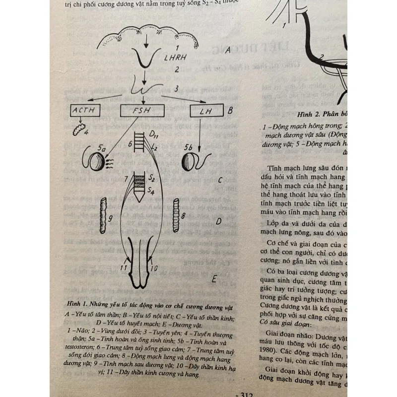 Bách khoa thư bệnh học 2, in năm 1994 1009151