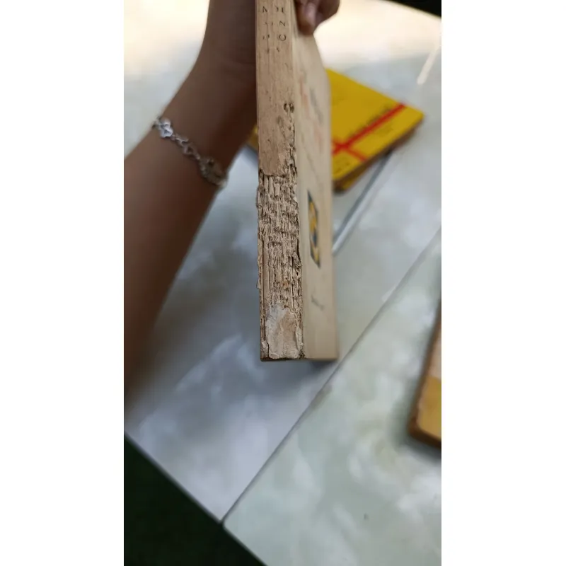 MỘT NỀN ĐẠO LÝ - LÊ CHÍ THIỆP 746826