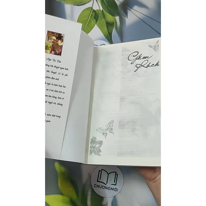 Gấm rách - Phỉ Ngã Tư Tồn 688659