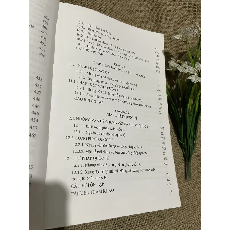 Giáo trình ĐẠI CƯƠNG VẺG NHÀ NƯỚC VÀ PHÁP LUẬT , khổ lớn, gần 600 trang  797707