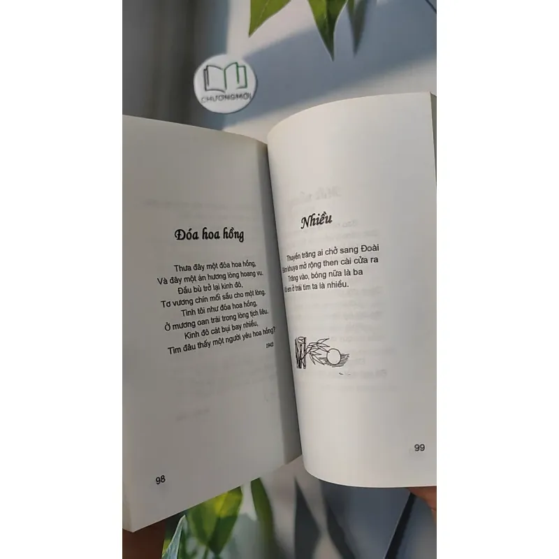 Thơ Nguyễn Bính - Hoàng Xuân  798311