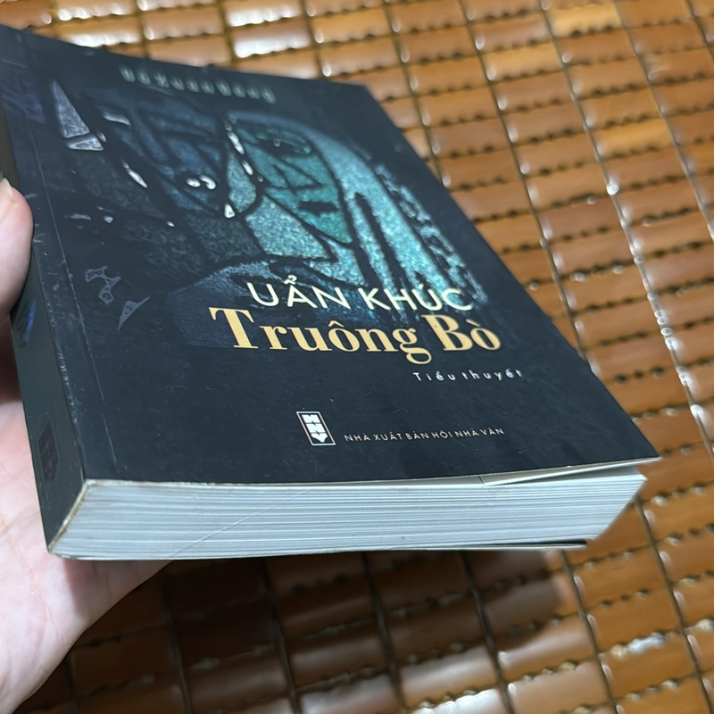 Uẩn Khúc Truông Bò - Đỗ Xuân Đồng 527031