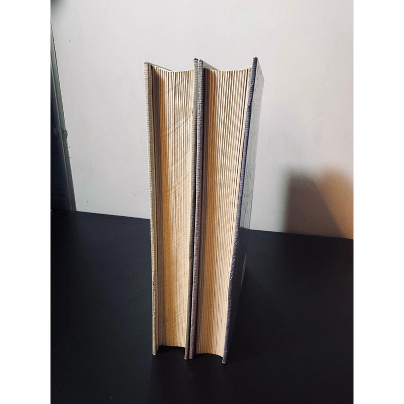 Trọn bộ 2c Người tù khổ sai (bìa cứng) 525350