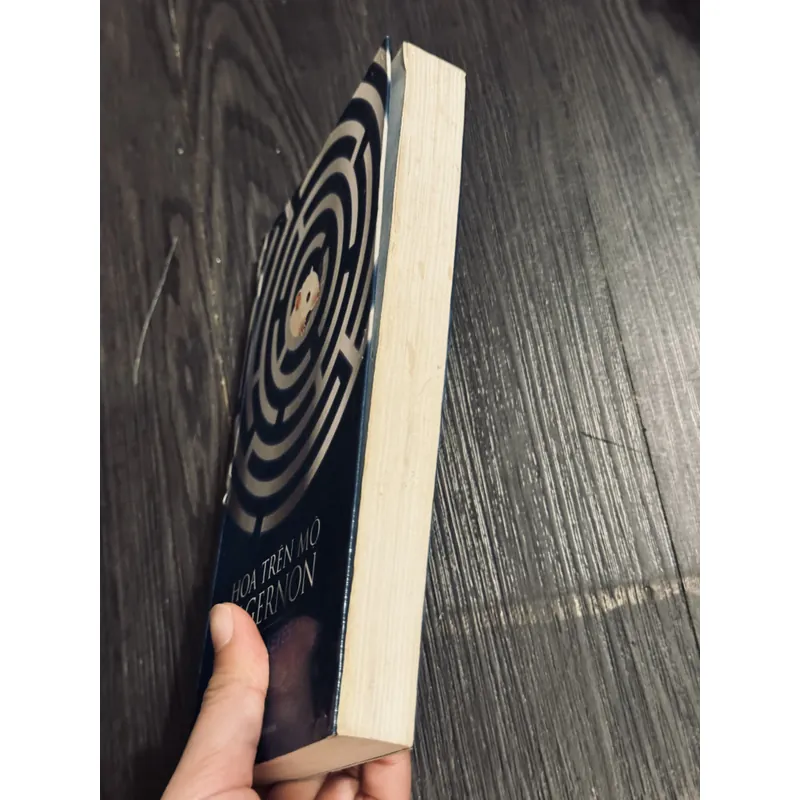 Hoa trên mộ Algernon 604514