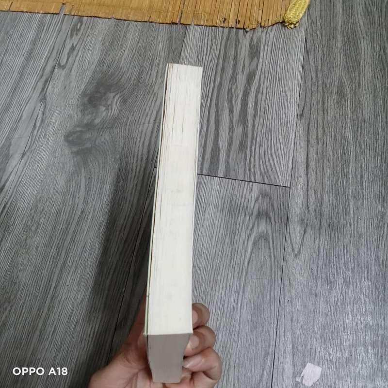 Bí Ẩn Tuổi Thơ- Maria Montessori 528602