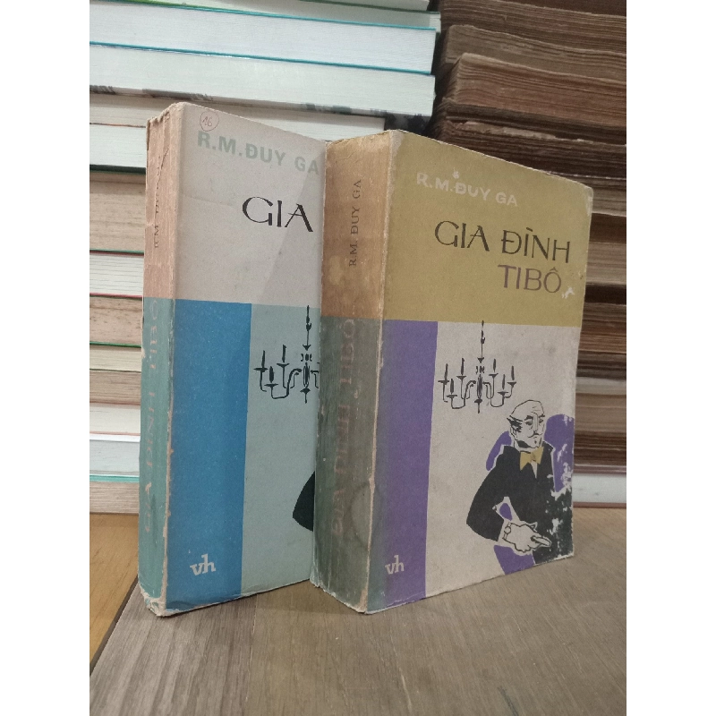 Gia đình Tibô - R.M.Đuy Ga 755701