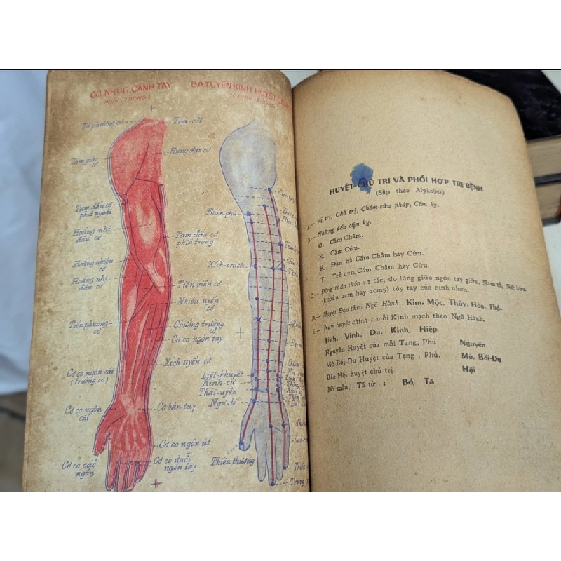 Cẩm nang châm cứu - Thượng Trúc 137681