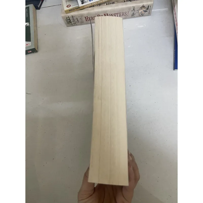 The Dark FOREst  994745