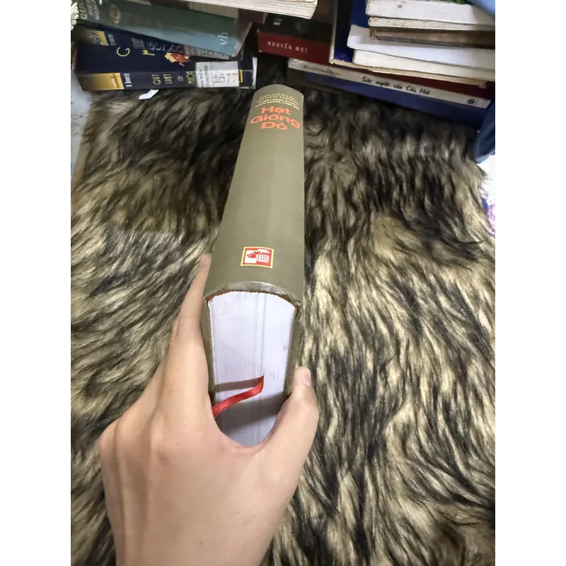 Hạt Giống Đỏ  599678