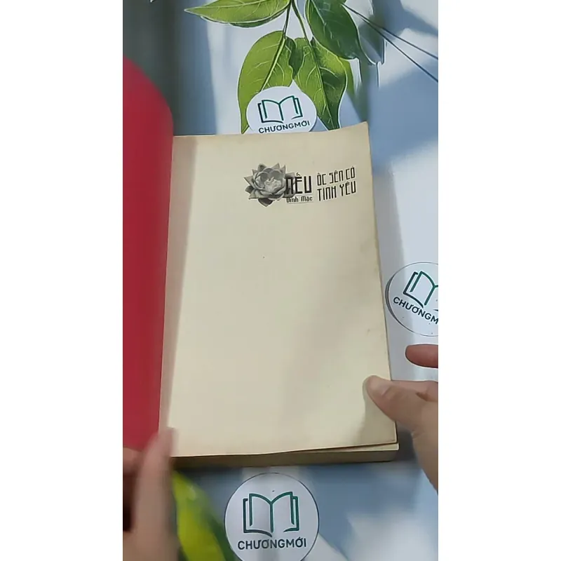 Nếu ốc sên có tình yêu - Đinh Mặc 688711