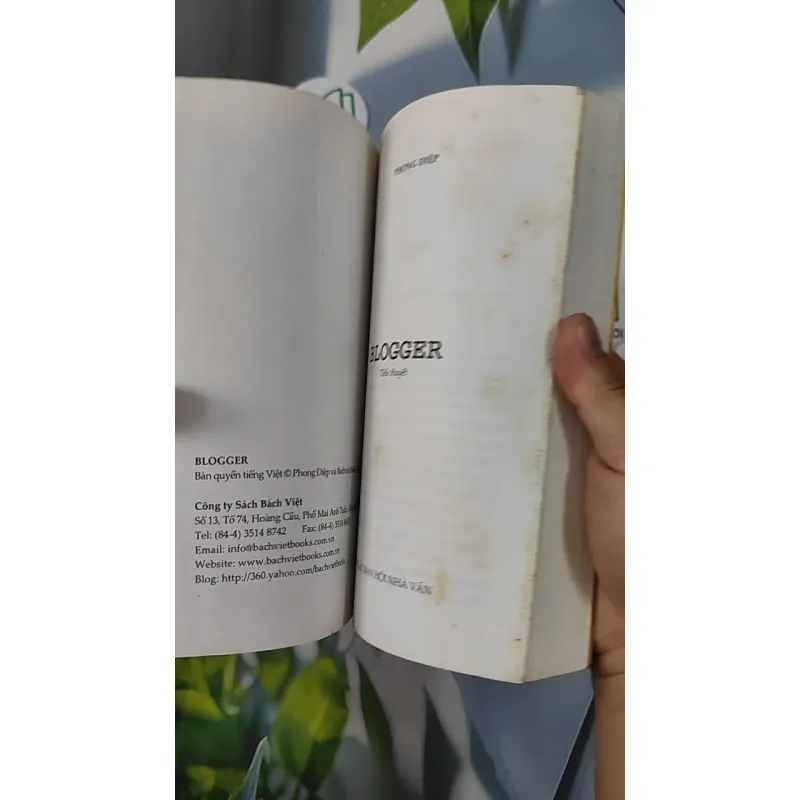 Blogger - Phong Điệp 798352