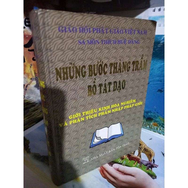 những bước thăng trầm bồ tát đạo 476058