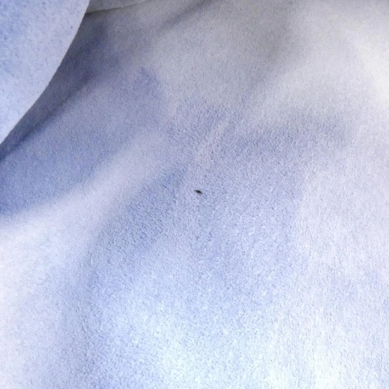 Túi Bottega Veneta 195420 VFHH0 614284