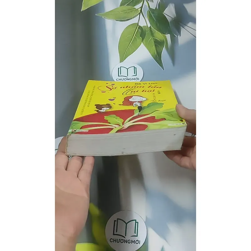 Sự nhầm lẫn tai hại - Bộ Vi Lan 688633