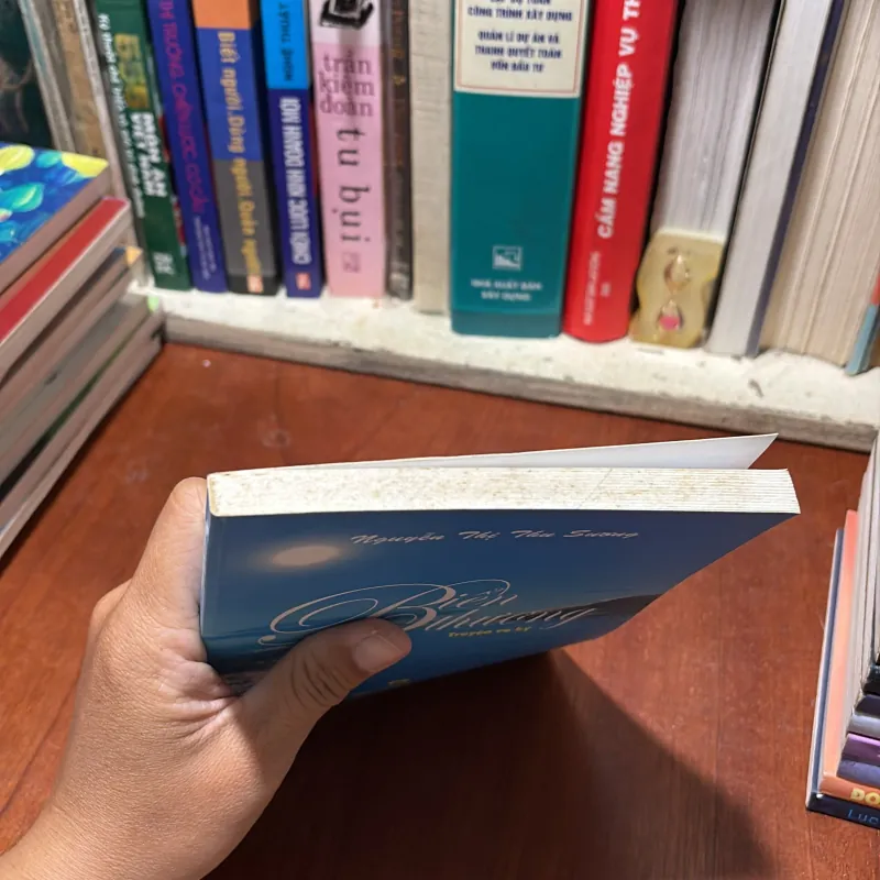 II Truyện Và Ký: Biển Thương - Nguyễn Thị Thu Sương - 2012 785623