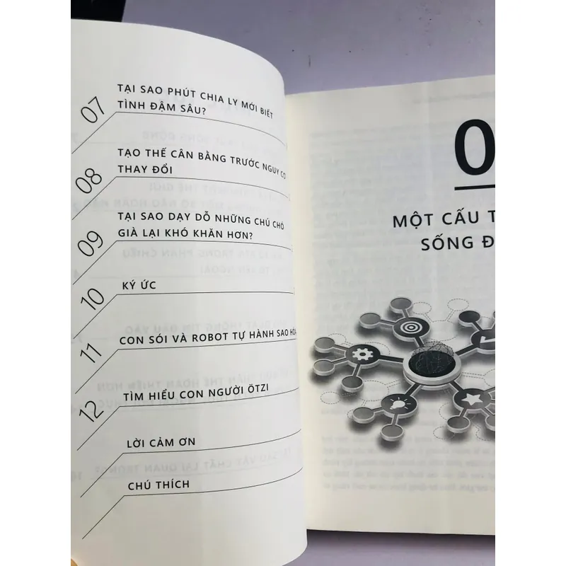 📖 GIẢI MÃ TÂM TRÍ – KIỂM SOÁT CẢM XÚC 601852