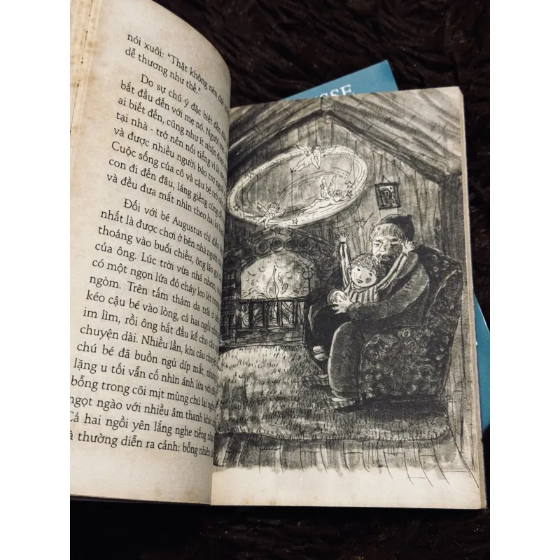 Combo Hermann Hesse 1030636