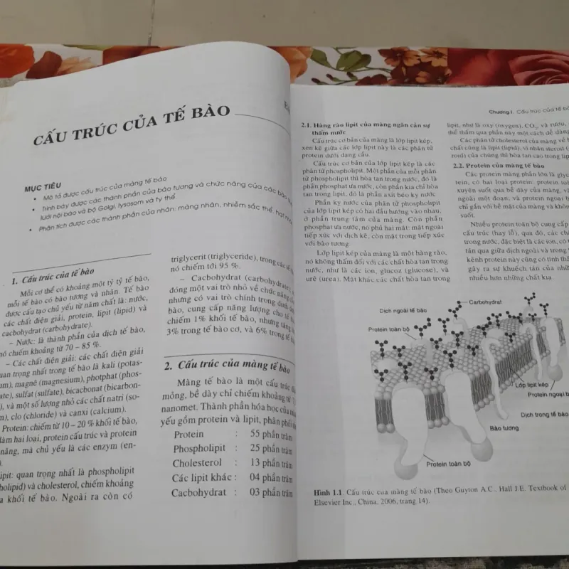 SINH LÝ HỌC Y KHOA- Tập 1-Giáo sư PHẠM ĐÌNH HỰU -ĐH Y Dược HCM  778118