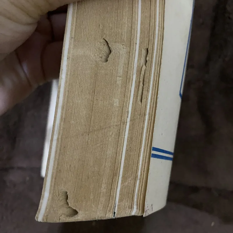 Bác Hồ với nghệ thuật sân khấu 628627